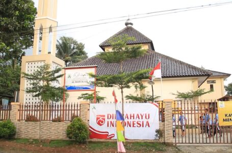 photo_6311951468428639648_y