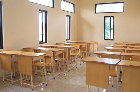 photo_6311951468428639650_y