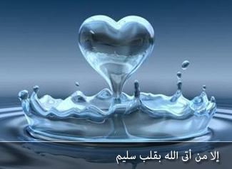 TANDA QALBUN SALIM (HATI YANG SELAMAT)