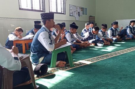 photo_6104631236682169374_y