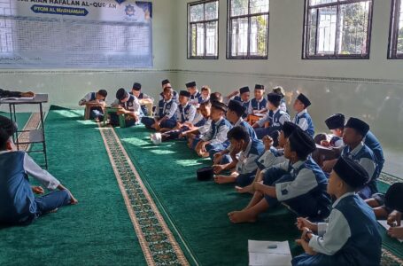 photo_6104631236682169376_y