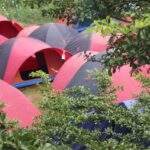 photo_2025-02-03_08-23-57